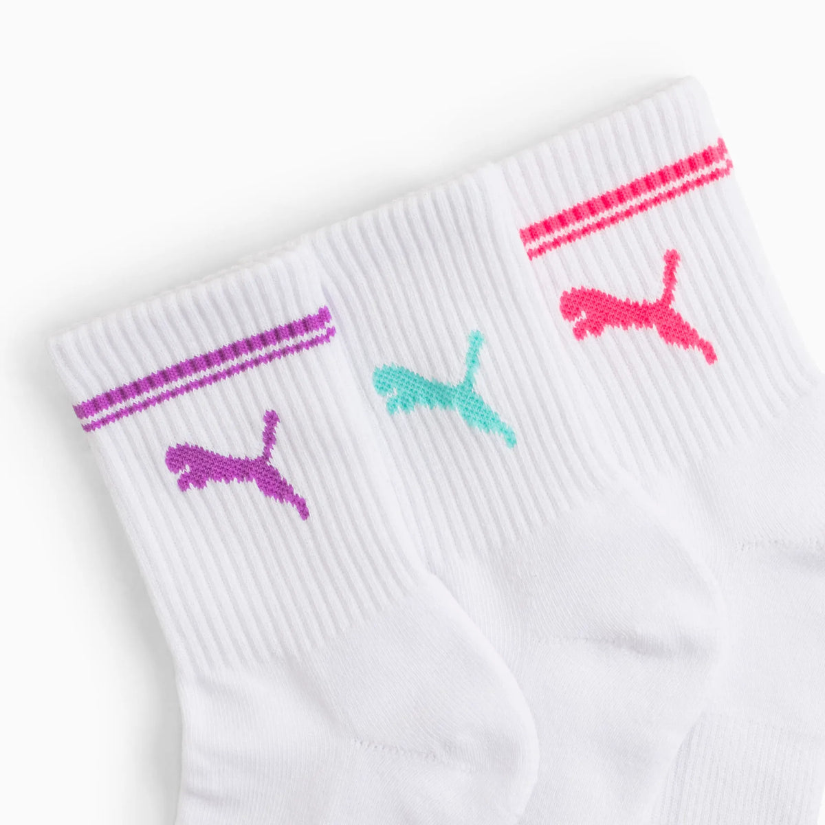 WHITE / PURPLE