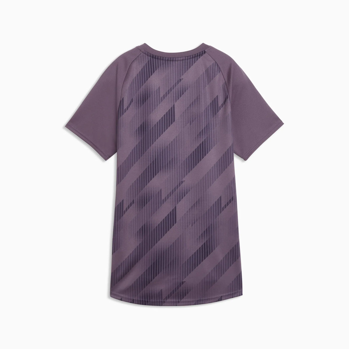 Purple Charcoal-Icy Blue