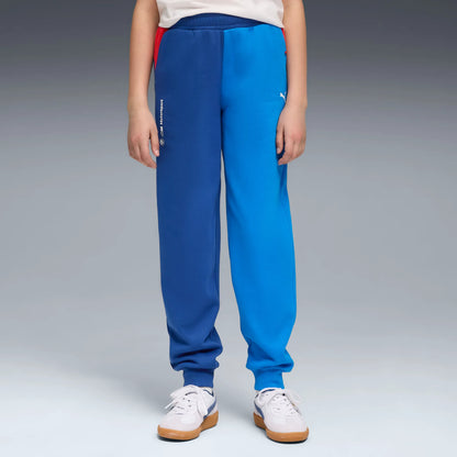 Pro Blue-M Color