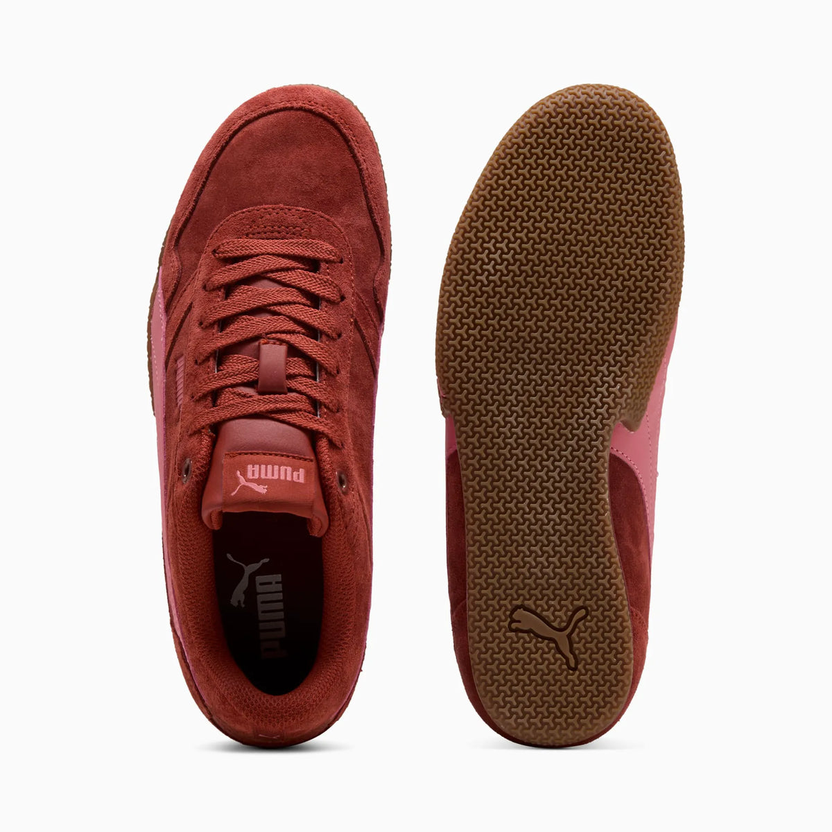 Bordeaux Red-Wild Pink
