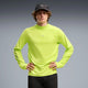 Sunny Lime