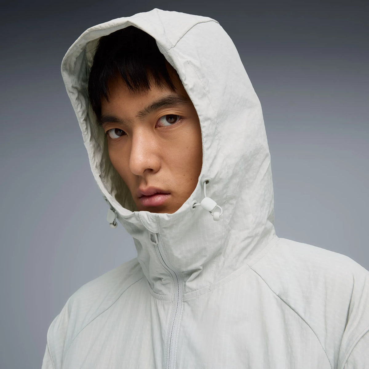 Cool Light Gray
