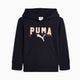 NEW NAVY
