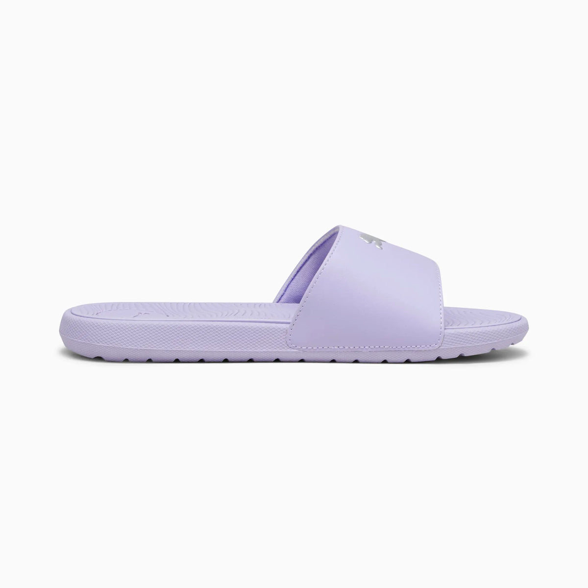 Vivid Violet-Puma Silver