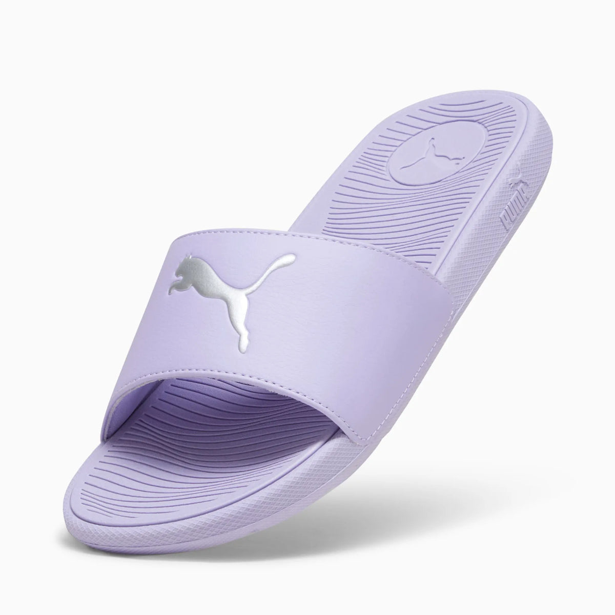Vivid Violet-Puma Silver
