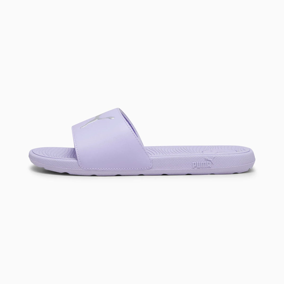 Vivid Violet-Puma Silver