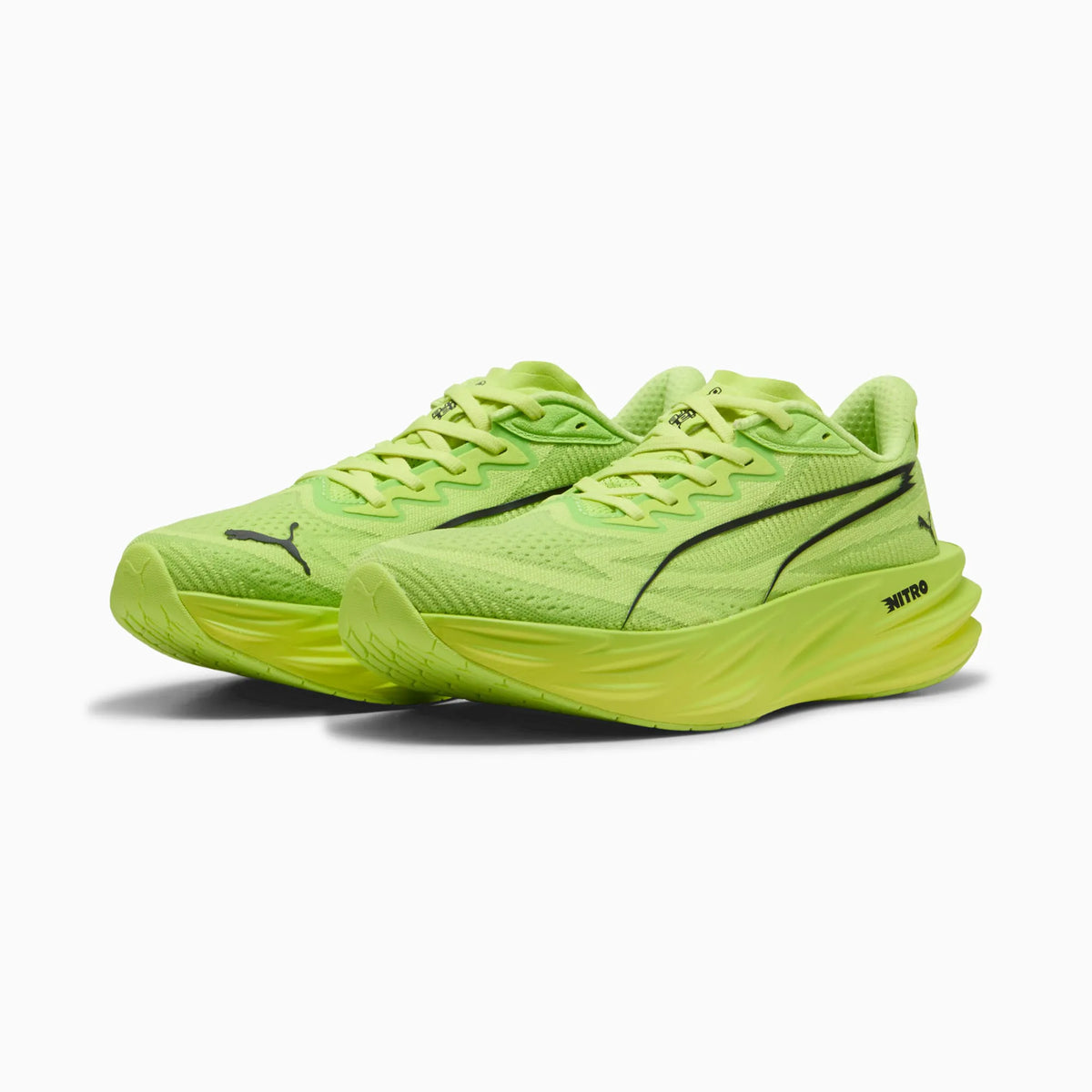 Sunny Lime-Light Lime
