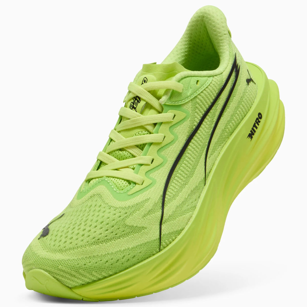 Sunny Lime-Light Lime