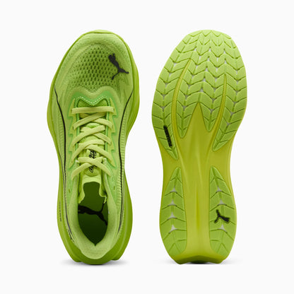 Sunny Lime-Light Lime