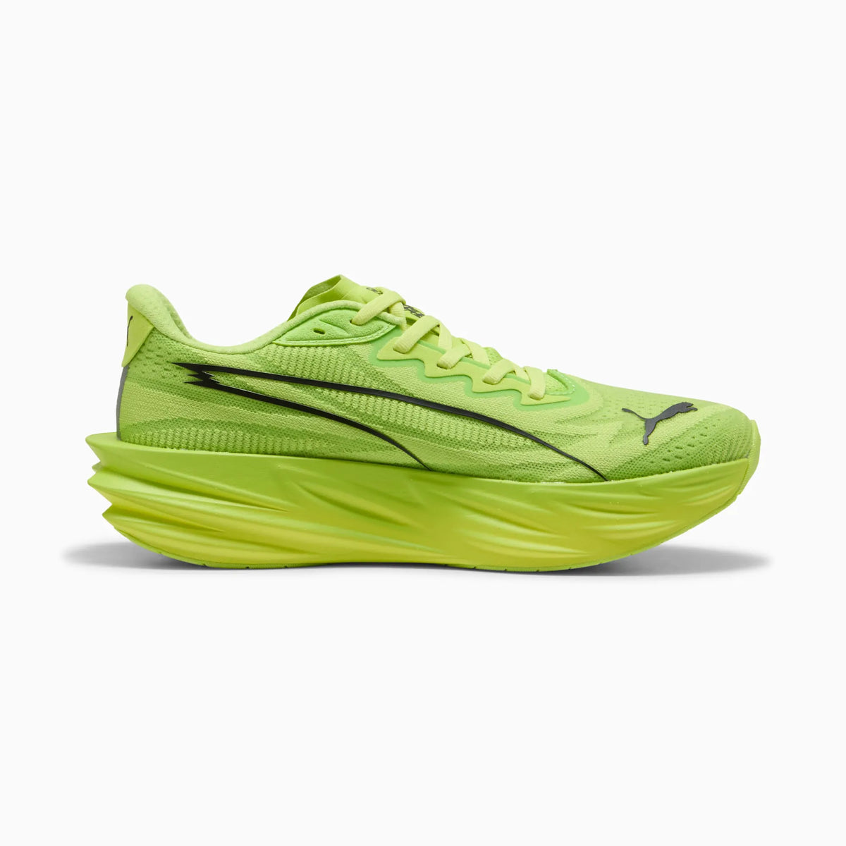 Sunny Lime-Light Lime