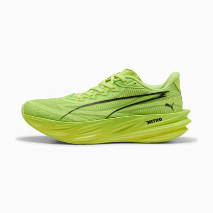 Sunny Lime-Light Lime