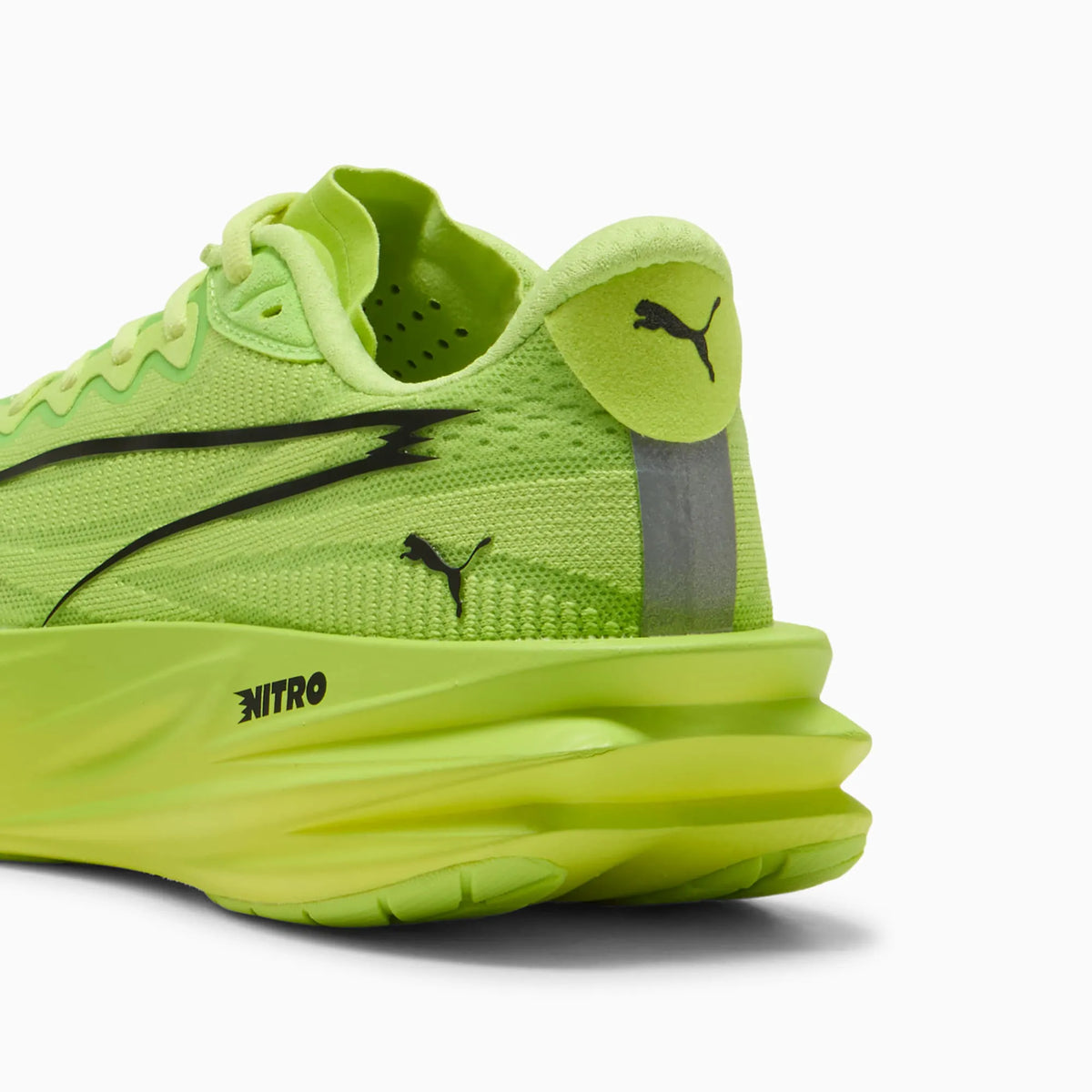 Sunny Lime-Light Lime