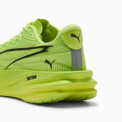 Sunny Lime-Light Lime