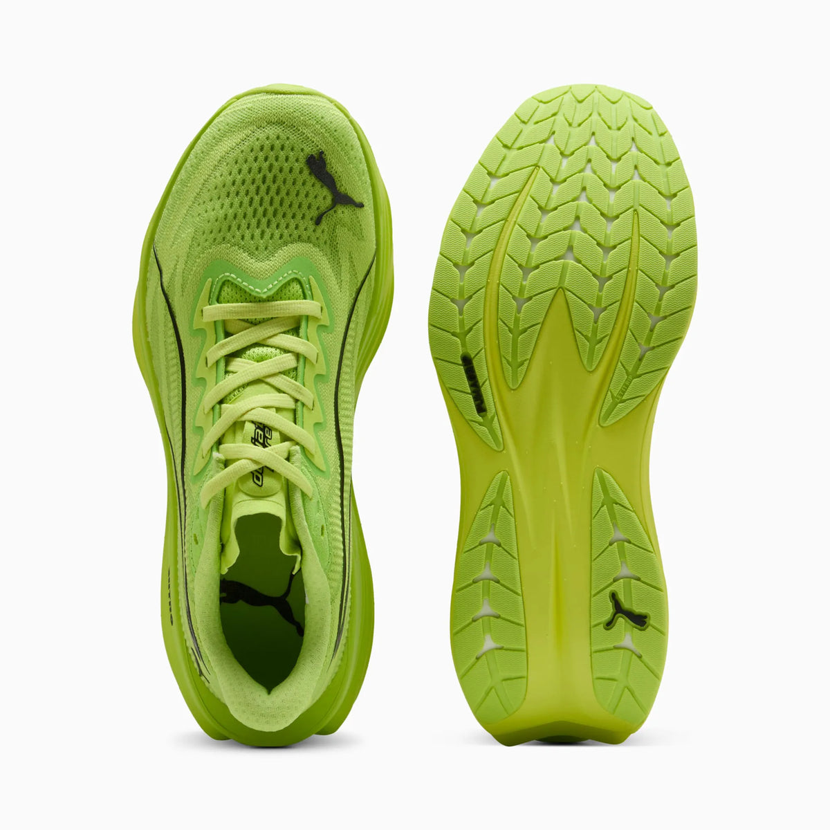 Sunny Lime-Light Lime