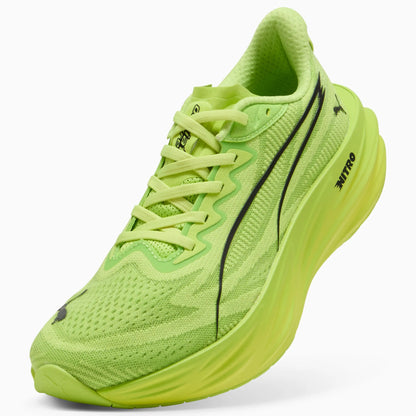Sunny Lime-Light Lime