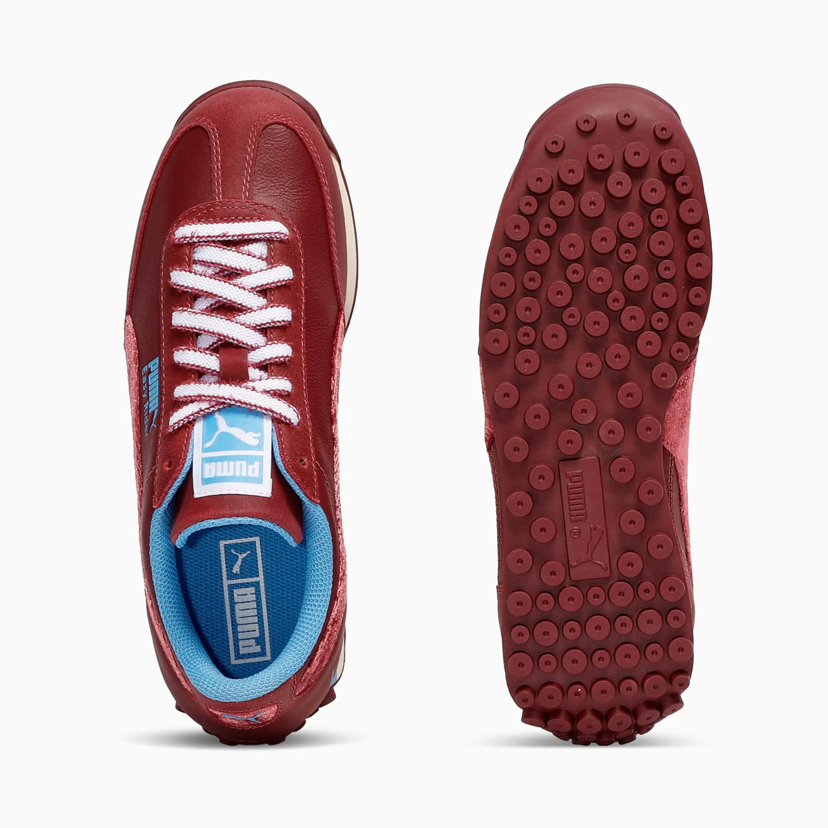 Ruby Shimmer-Team Light Blue-PUMA White