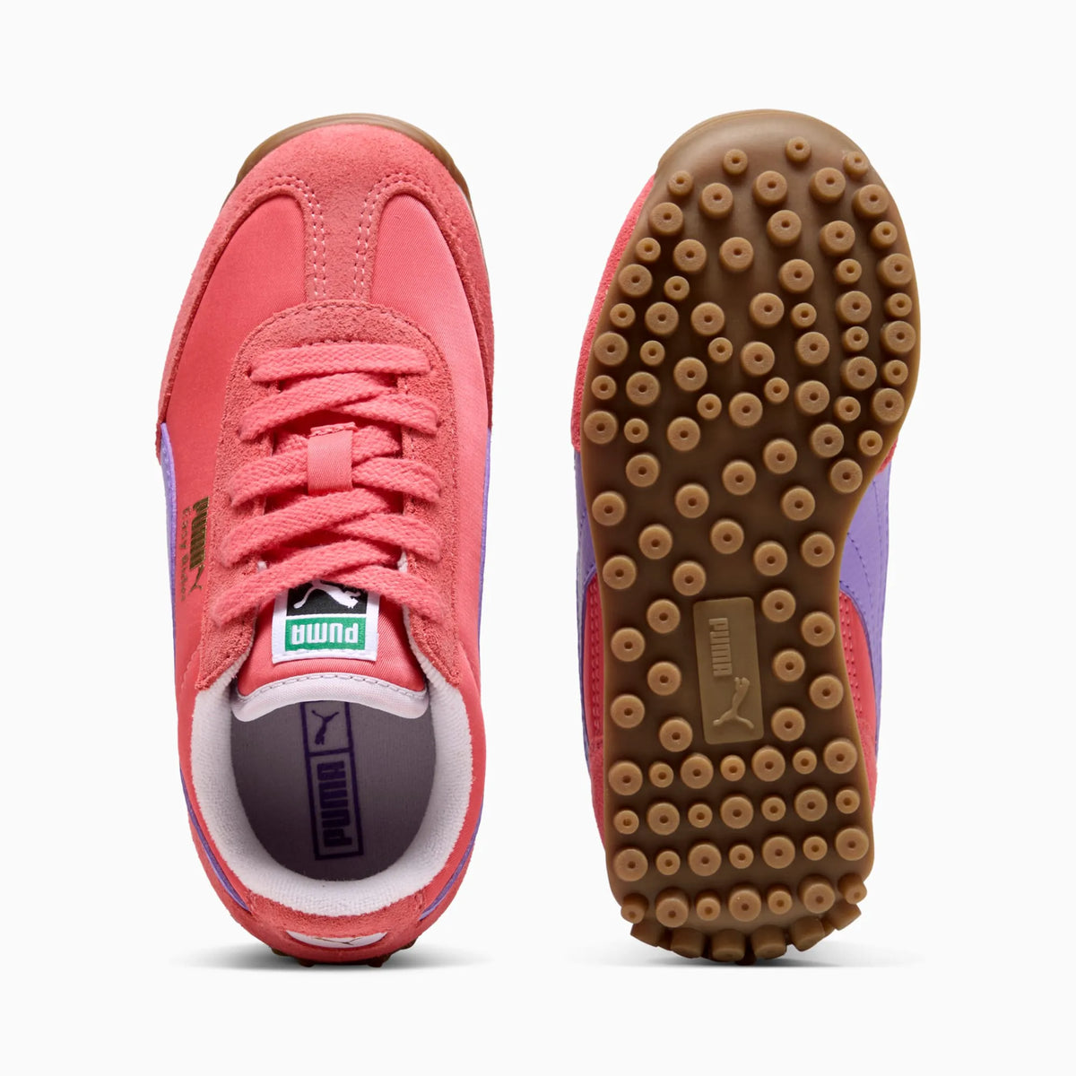 Peach Frost-Lavender Alert