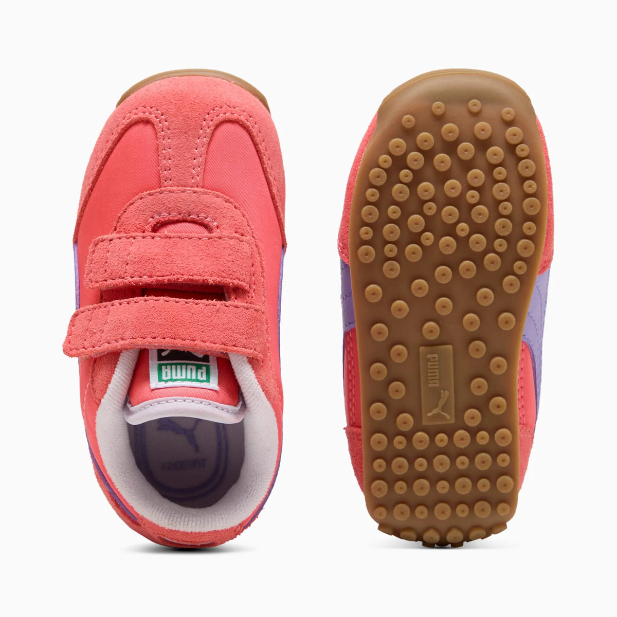 Peach Frost-Lavender Alert