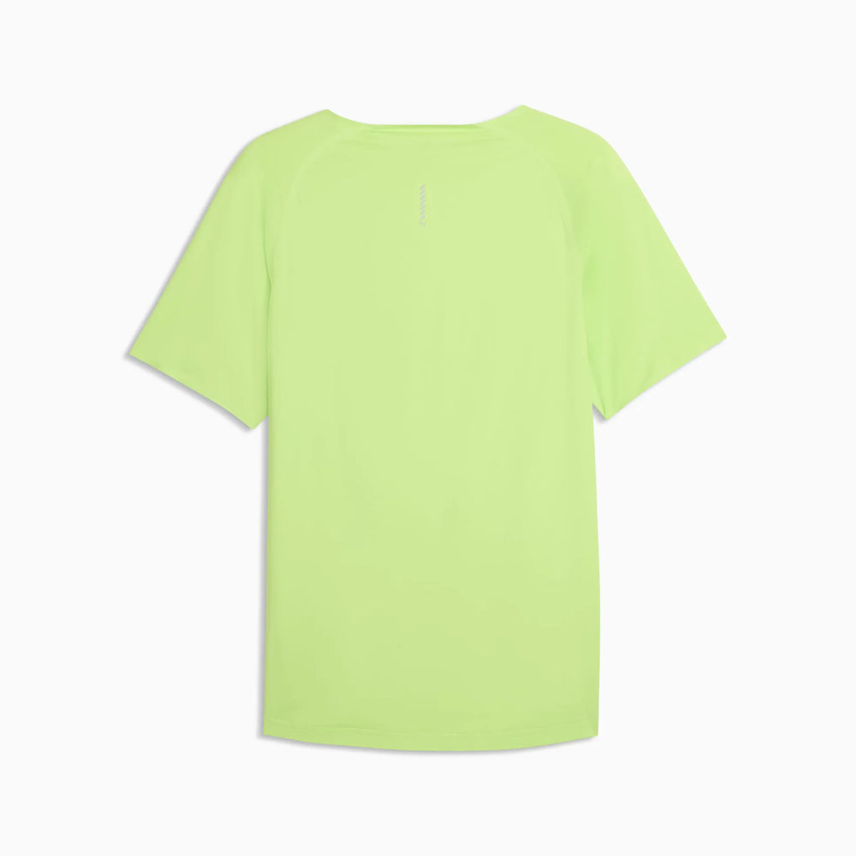 Sunny Lime
