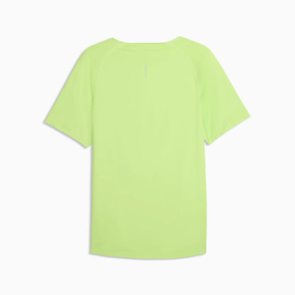 Sunny Lime