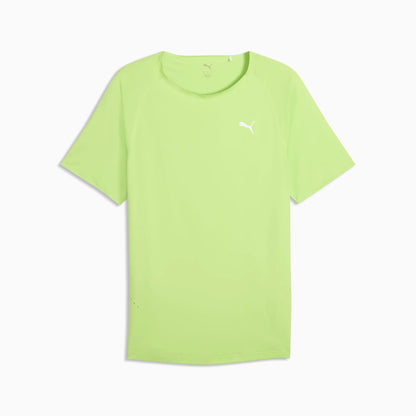 Sunny Lime