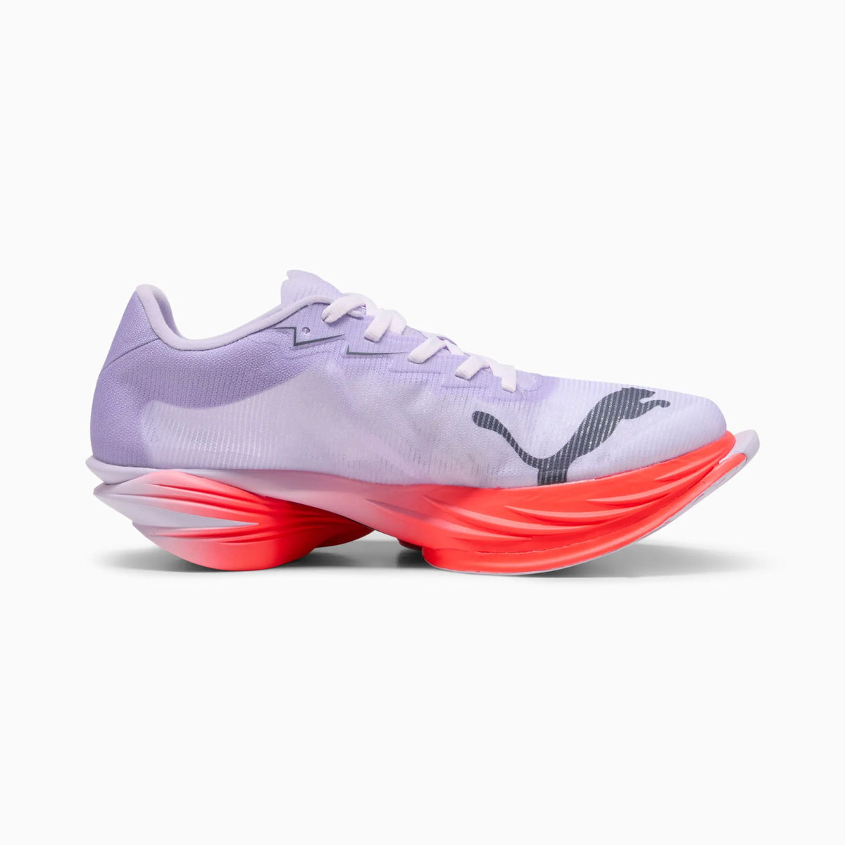 Light Lavender-Inky Depths-Ultra Red
