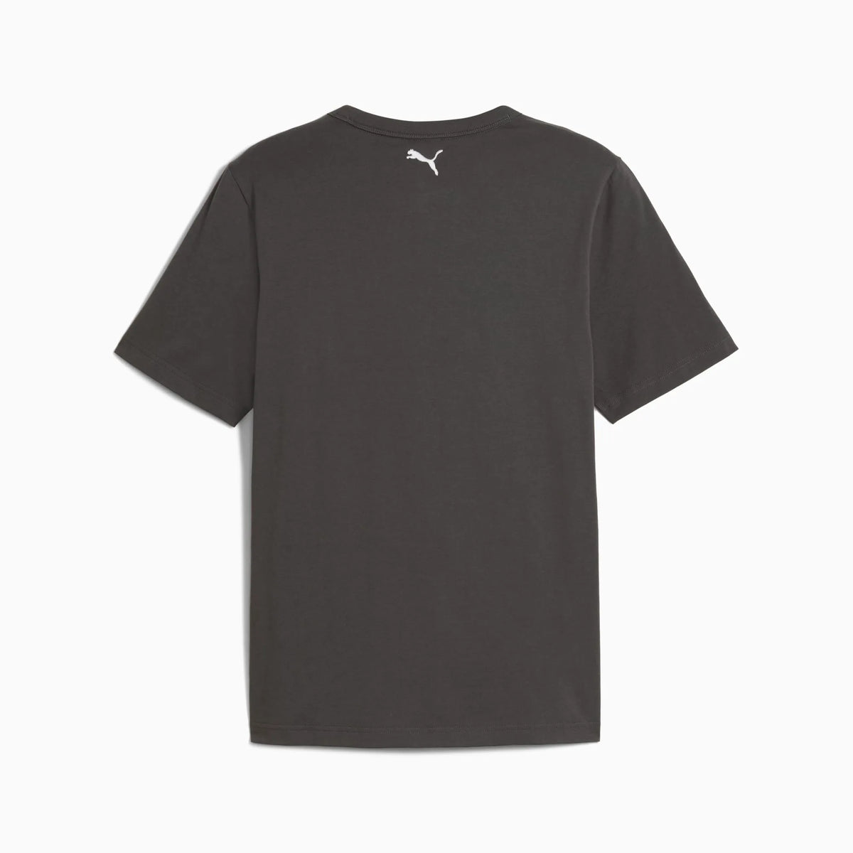 Dusky Gray