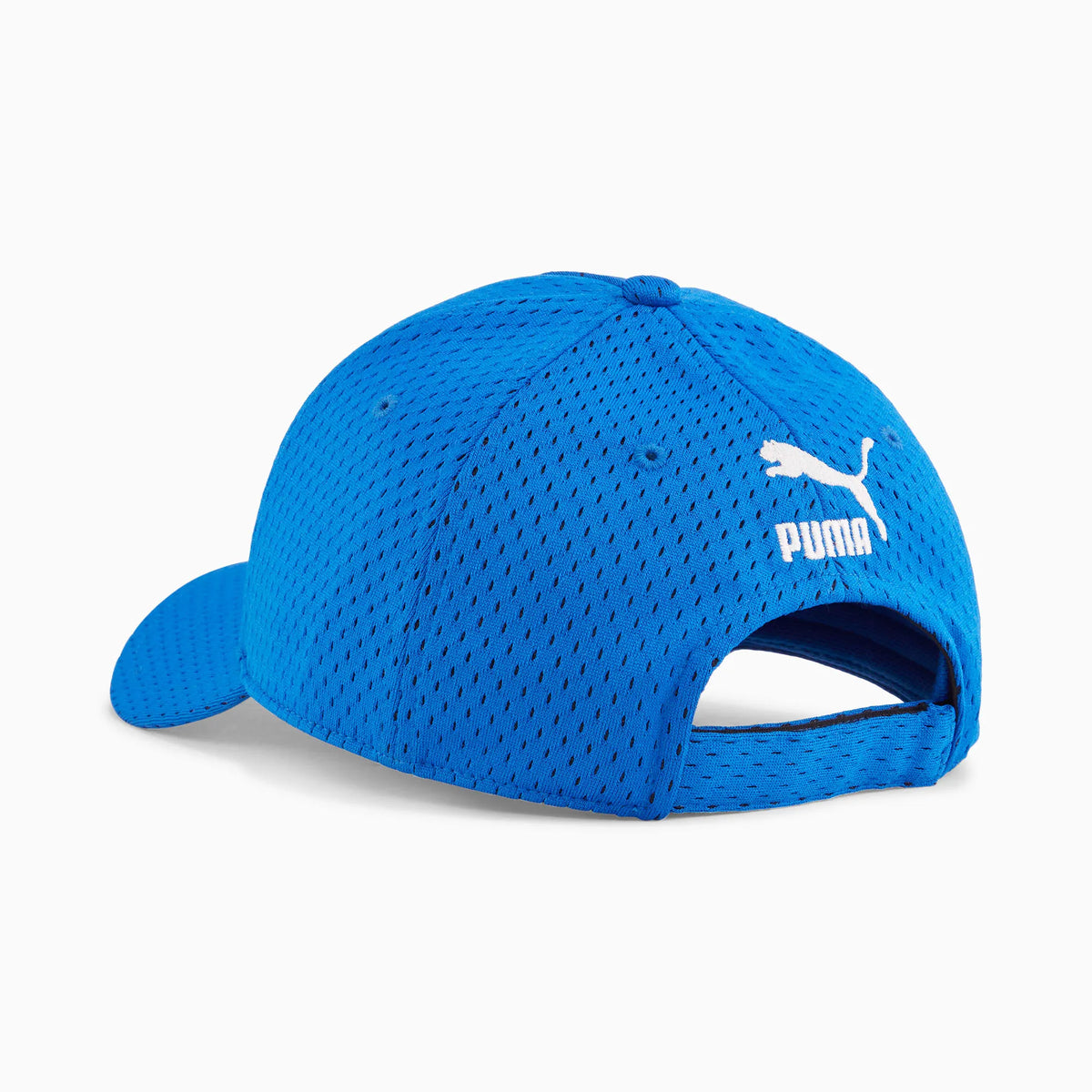 PUMA Team Royal