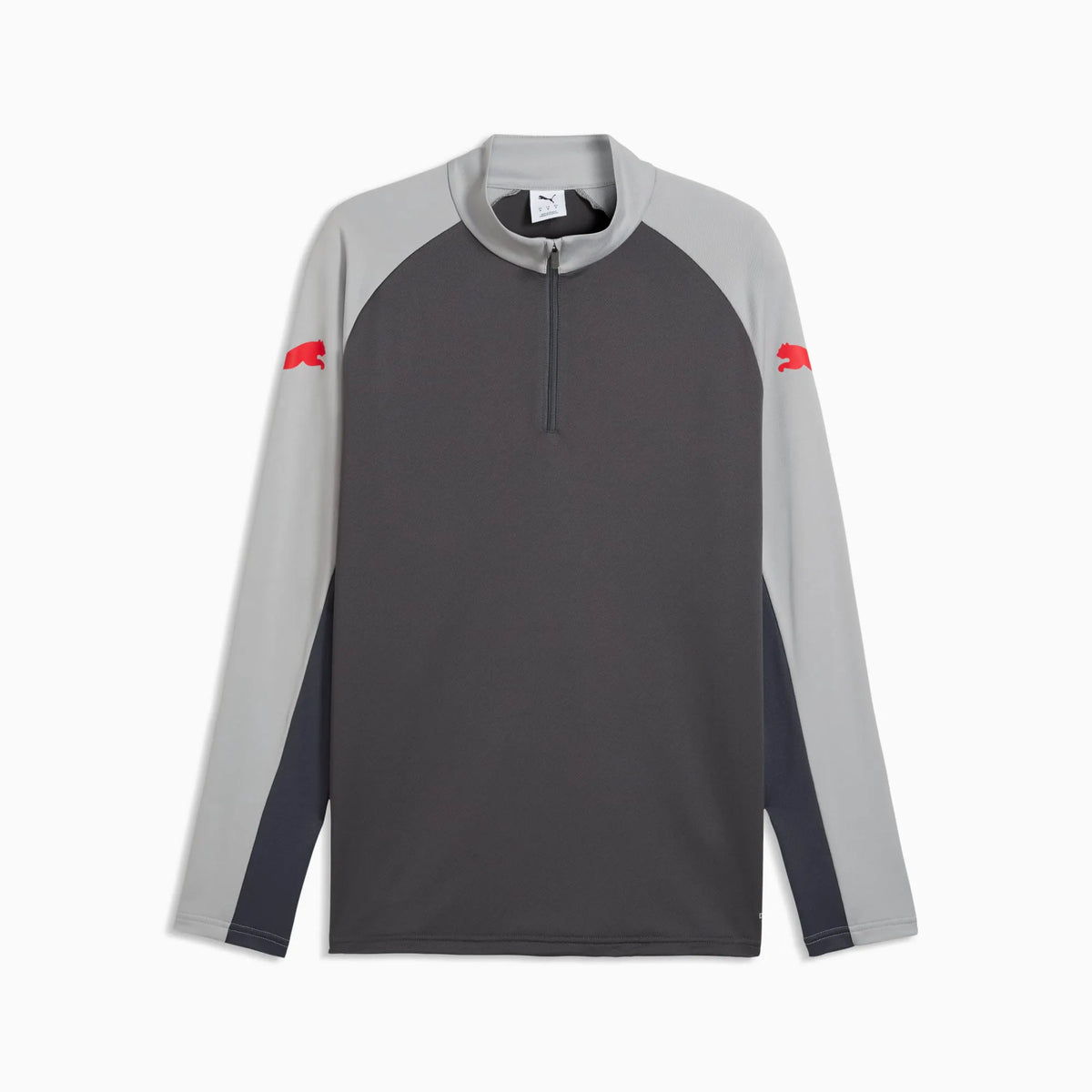 Dusky Gray-PUMA Red-Gray Echo