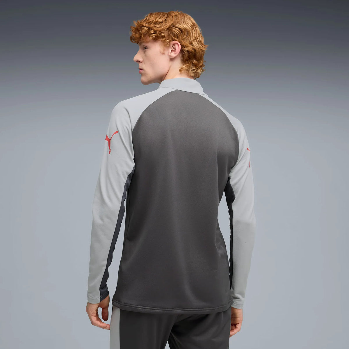 Dusky Gray-PUMA Red-Gray Echo