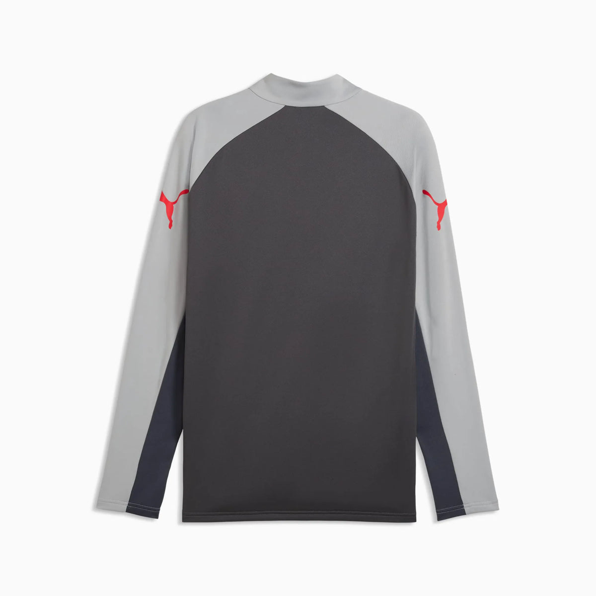 Dusky Gray-PUMA Red-Gray Echo