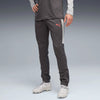 Strong Gray-PUMA Red-Gray Echo