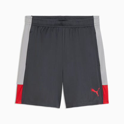 Gray Echo-Dusky Gray-PUMA Red