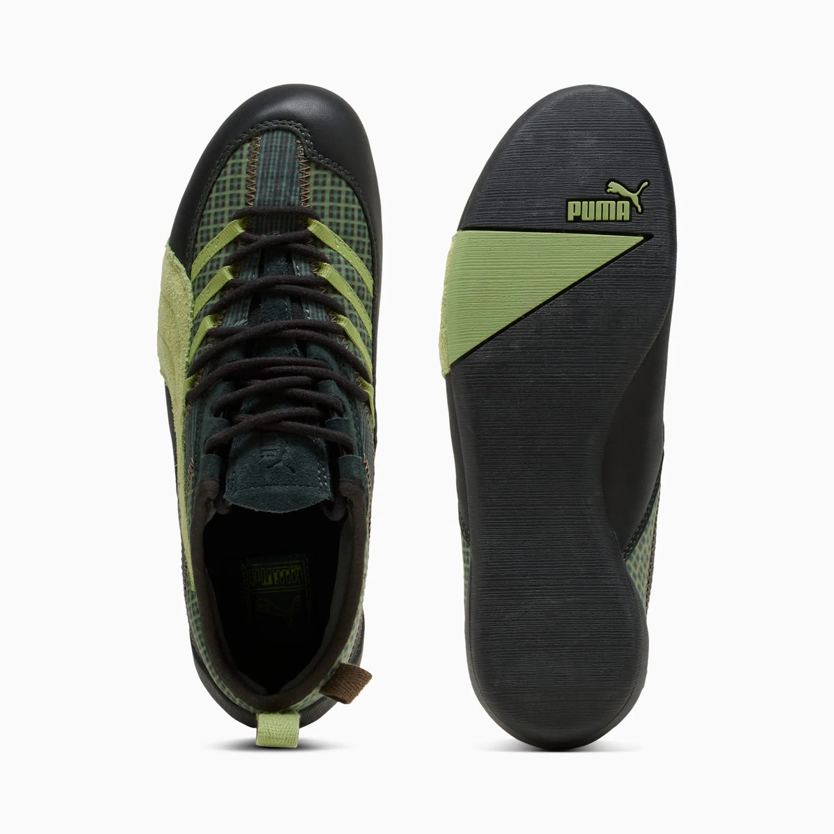 PUMA Black-Wild Fern