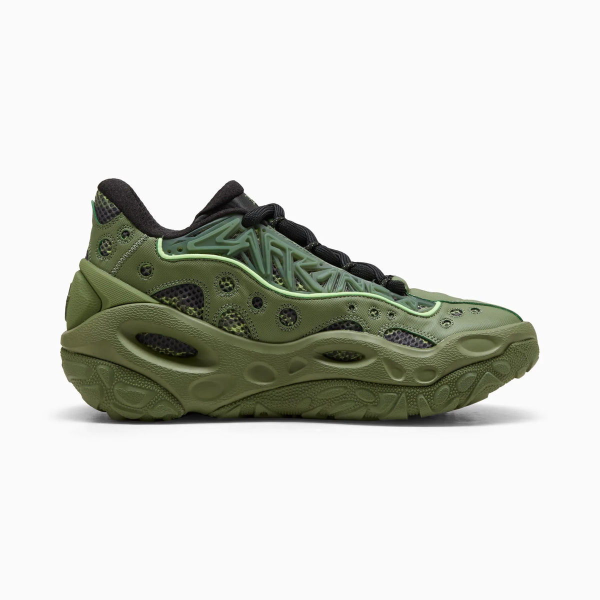Avocado Green-Fizzy Light