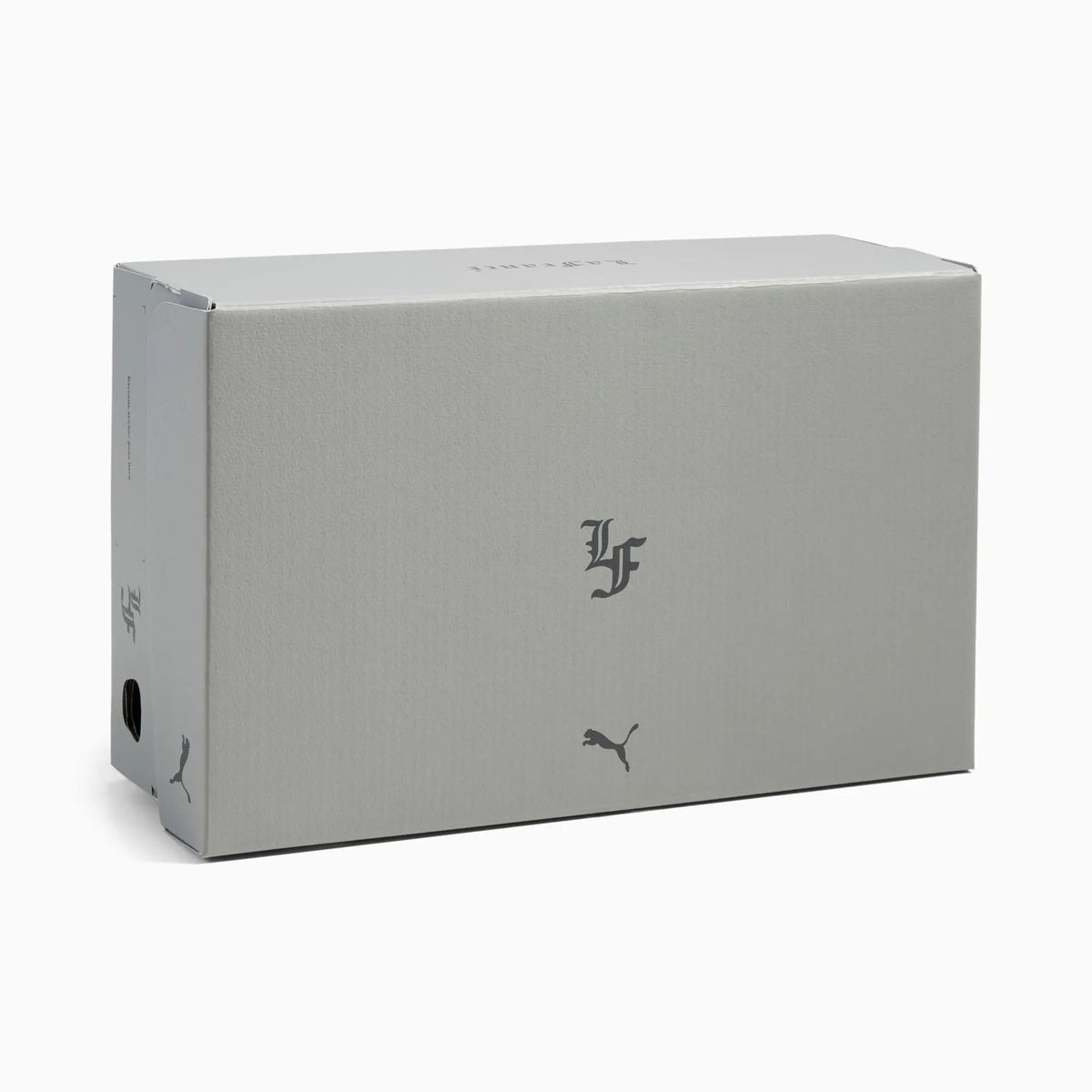 Cool Light Gray-Gray Echo