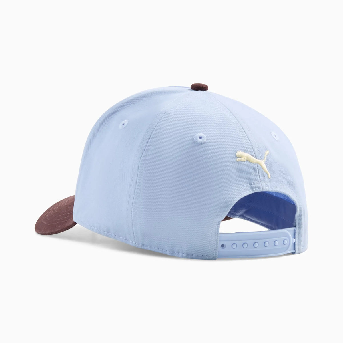 BLUE/BROWN