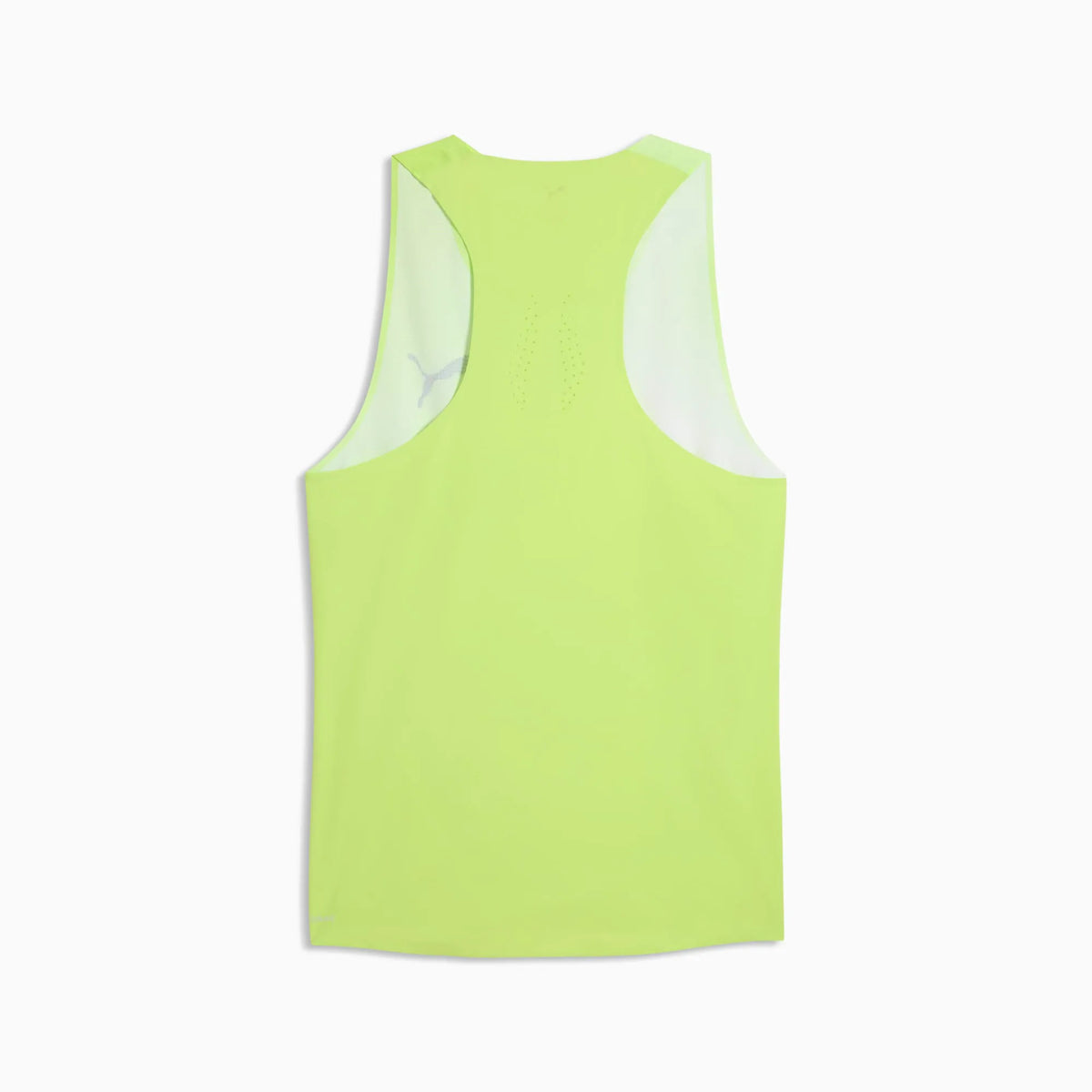 Sunny Lime