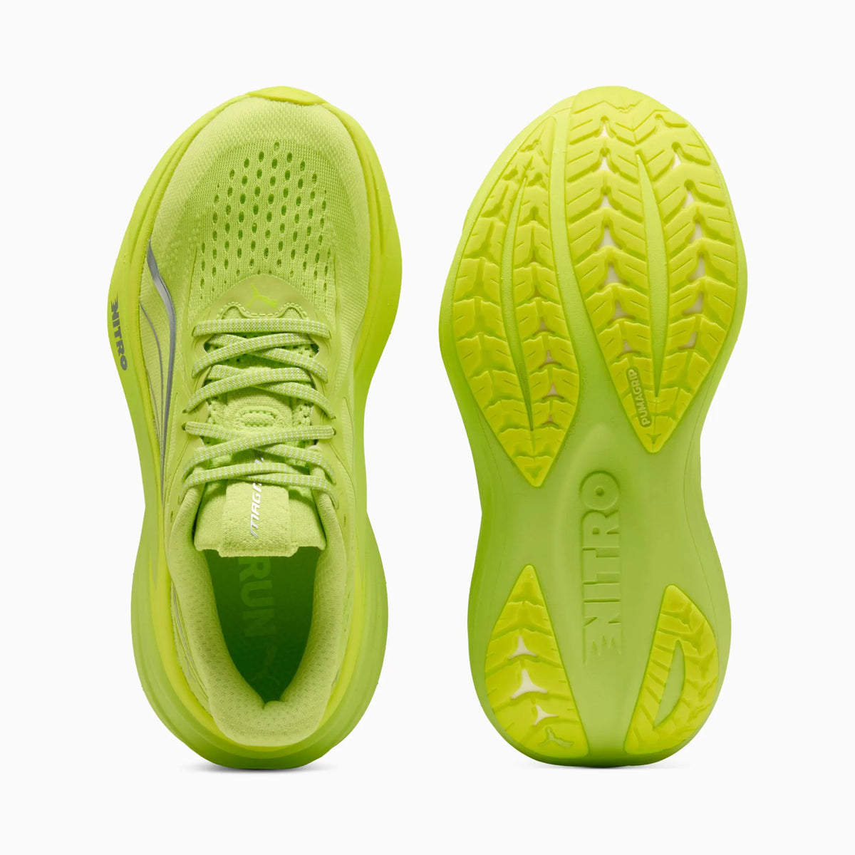 Sunny Lime-Lime Squeeze