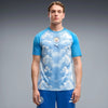 Icy Blue-Regal Blue
