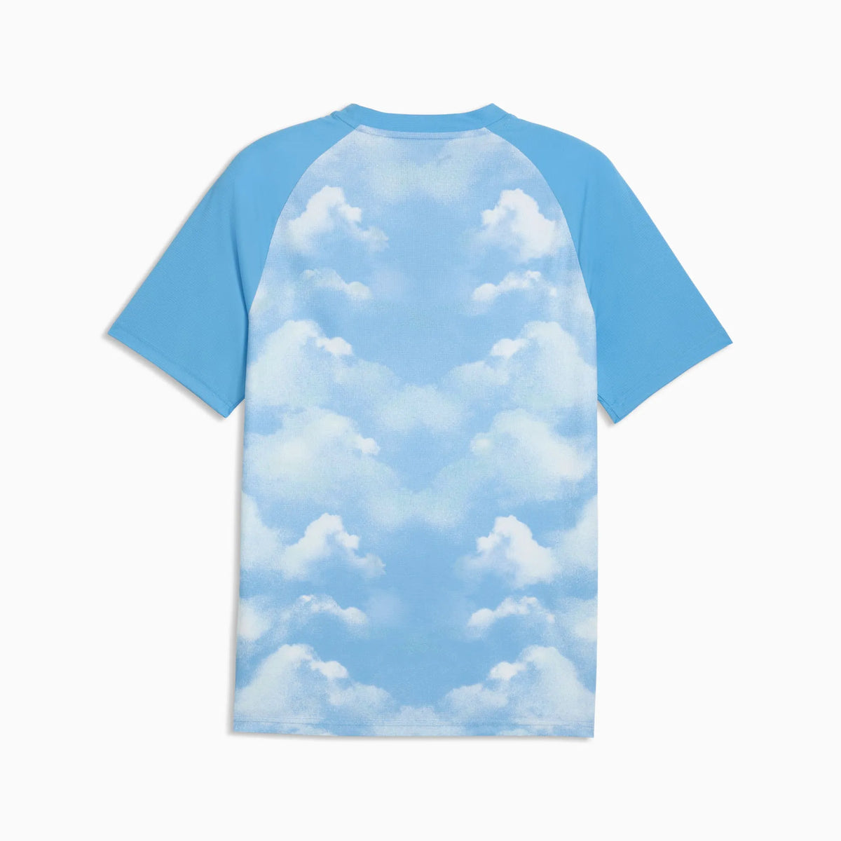 Icy Blue-Regal Blue