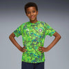 Pro Green-Hyperlink Blue