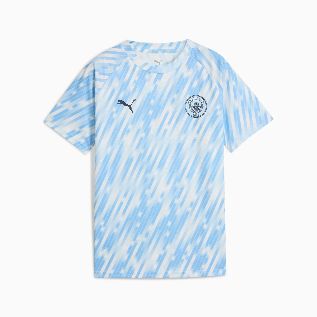Silver Sky