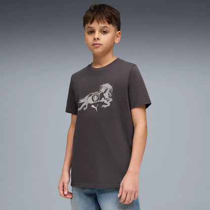 Flat Dark Gray-Gray Echo