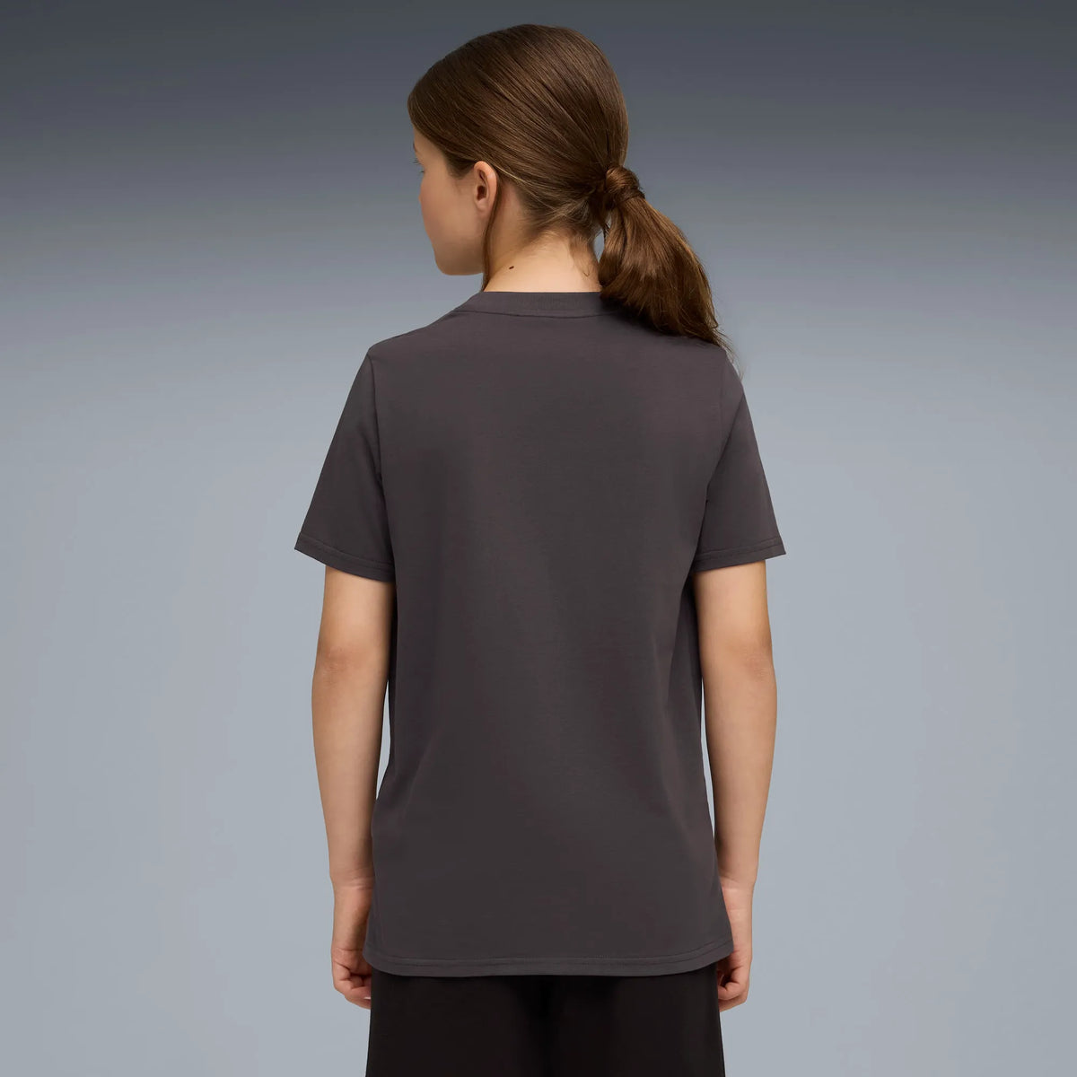 Flat Dark Gray-Gray Echo