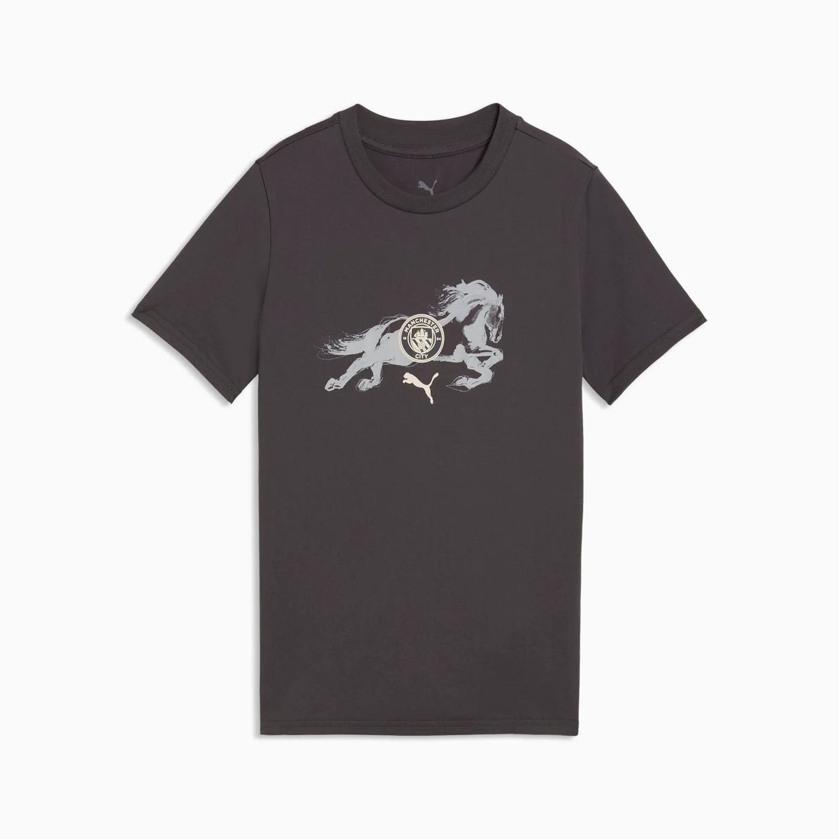 Flat Dark Gray-Gray Echo