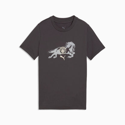 Flat Dark Gray-Gray Echo