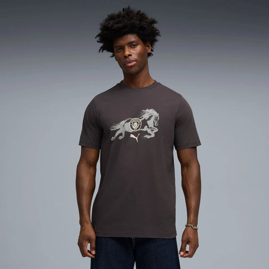 Flat Dark Gray-Gray Echo