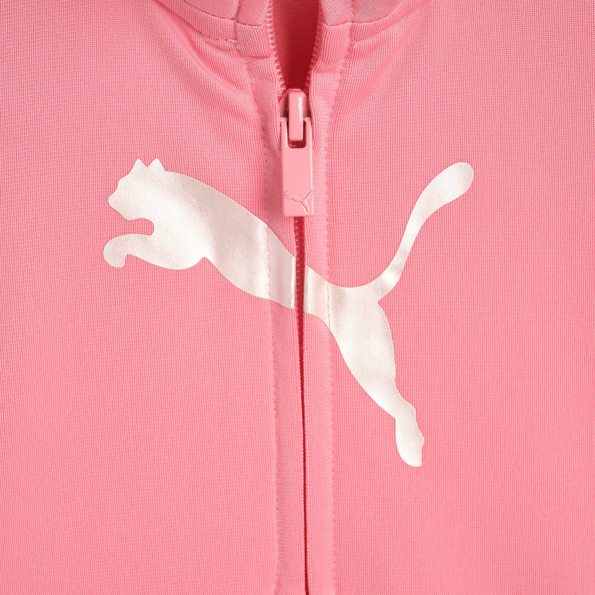 PINKSCAPE
