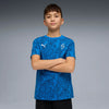 PUMA Team Royal-PUMA White-PUMA Navy